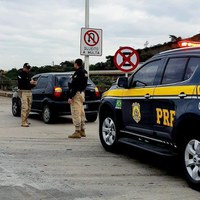 PRF prende homem transportava filhotes de macacos-prego