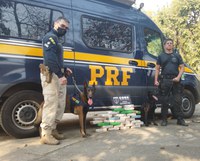 PRF e Polícia Civil apreendem grande quantidade de pasta base de cocaína