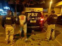 PRF cumpre três mandados de prisão na BR-116 na noite desta segunda-feira