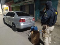 PRF prende homem por crime contra ordem econômica em Duque de Caxias