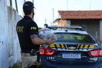 Policiais Rodoviários Federais do Rio Grande do Norte doam cestas básicas para comunidade carentes