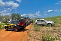 PRF apreende 245kg de maconha e prende um homem de 26 anos