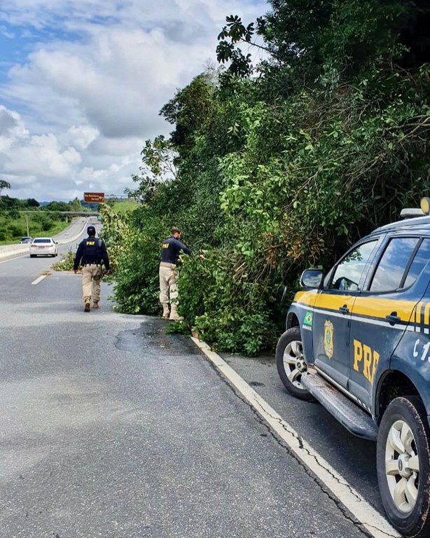 PRF/RN lança campanha de beneficente para vítimas das chuvas em Pernambuco