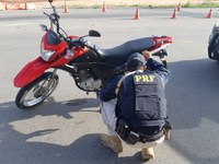 PRF prende em Macaíba/RN homem com motocicleta roubada