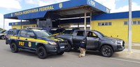 Foragido da Justiça é preso pela PRF em Macaíba/RN