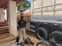 PRF, SET e IBAMA apreendem carga de madeira ilegal em Mossoró (RN)