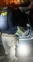 Traficante é preso com skunk pela PRF em Rosário do Sul