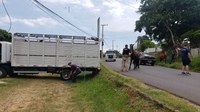 PRF e Prefeitura Municipal de Santana do Livramento recolhem animais de grande porte nas BRs 158 e 293