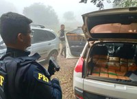 Quadrilha é presa com meia tonelada de maconha, carro roubado, arma e galos de rinha