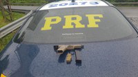 PRF flagra trio com arma raspada e maconha após perseguição em Novo Hamburgo/RS