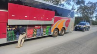 PRF e RFB apreendem ônibus carregado de mercadorias em Caçapava do Sul