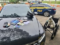 PRF prende casal de idosos que tentou aplicar golpe com documento falso
