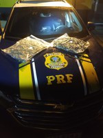PRF prende casal de traficantes com skunk em Pelotas/RS
