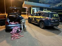 PRF prende traficante com 200kg de maconha e recupera veículo roubado