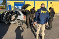 PRF e BM prendem homem com 280 kg de carne de capivara em Santana do Livramento/RS