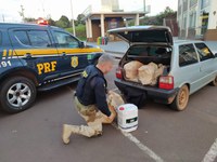 PRF prende contrabandista em Coronel Bicaco/RS com meia tonelada de agrotóxicos ilegais