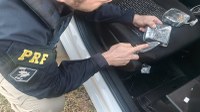 PRF prende homem com cocaína em Lajeado/RS