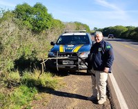 PRF resgata cobra sob risco de atropelamento em Alegrete/RS