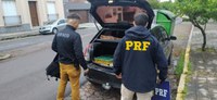 PRF e PC prendem três pessoas transportando ilegalmente pássaros silvestres em Bagé