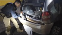 PRF prende homem transportando agrotóxicos ilegais em Santiago