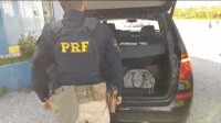 PRF apreende dólares escondidos em carro em Bagé/RS