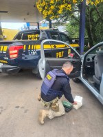 PRF apreende nove quilos de cocaína escondidos em carro em Caxias do Sul/RS
