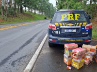 PRF e BM prendem seis pessoas por furto de carga em Montenegro/RS