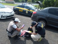PRF prende traficante com maconha em Montenegro/RS