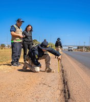 Em conjunto com outros órgãos, PRF inicia operação para diagnóstico de fatores de risco de acidentalidade nas rodovias federais do Rio Grande do Sul