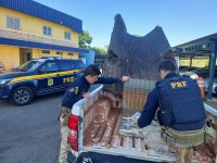 PRF prende traficante com carga de cocaína em Canoas/RS