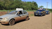 PRF apreende carga de agrotóxicos ilegais em São Borja