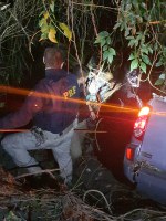 PRF apreende carro roubado carregado com 800 quilos de maconha