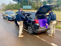 PRF apreende mais de meia tonelada de maconha transportada em um carro roubado