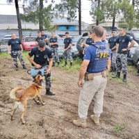 PRF e BM realizam treinamento integrado com cães policiais