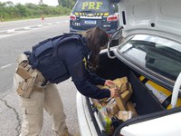 PRF e PC prendem traficante com 14 quilos de maconha em Pelotas