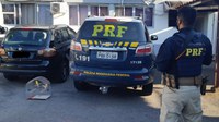 PRF prende casal com carro e passarinhos furtados