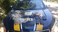 PRF prende criminoso transportando munições de fuzil e cigarros contrabandeados