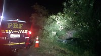 PRF prende motorista embriagada que causou acidente em Eldorado do Sul