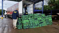 PRF prende traficante com mais de uma tonelada de maconha escondida em caminhão frigorífico
