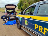 PRF prende traficante com mais de 100 quilos de maconha na BR 386