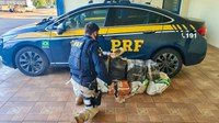 PRF prende traficante com quase 200 quilos de maconha em Sarandi