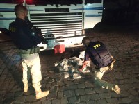 PRF prende uruguaio com skunk em Eldorado do Sul