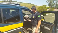PRF resgata cadela ferida em Santana do Livramento