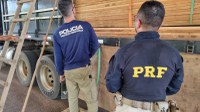 Em Ariquemes/RO, PRF identifica transporte irregular de madeira