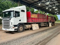 Em Rondônia, PRF identifica transporte irregular de madeira