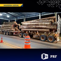 Em Rondônia, PRF identifica transportes irregulares de madeira