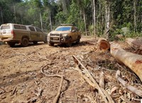 Em Rondônia, PRF participa da operação ANHANGÁ