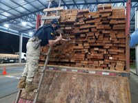 PRF em Rondônia faz sua maior apreensão de madeira