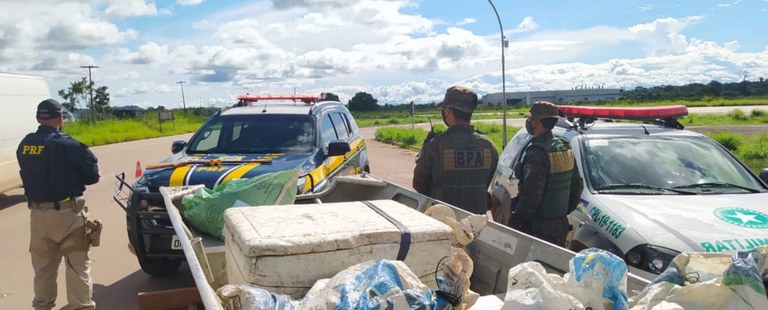 Em Porto Velho/RO, PRF e PM Ambiental realizam flagrante de crime ambiental e porte ilegal de arma de fogo