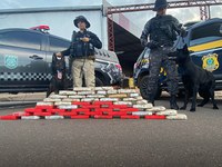 Em Porto Velho/RO, PRF apreende 49 KG de Cocaína